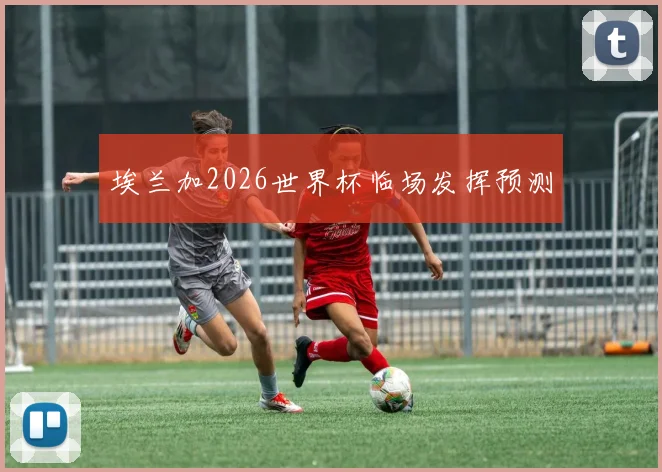 埃兰加2026世界杯临场发挥预测