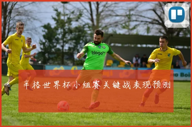 辛格世界杯小组赛关键战表现预测