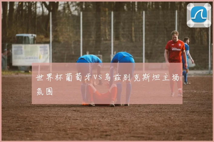 世界杯葡萄牙vs乌兹别克斯坦主场氛围
