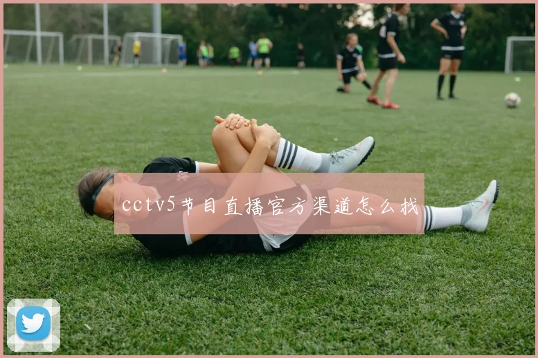 cctv5节目直播官方渠道怎么找